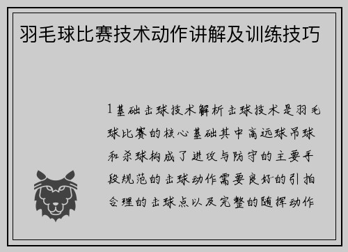 羽毛球比赛技术动作讲解及训练技巧