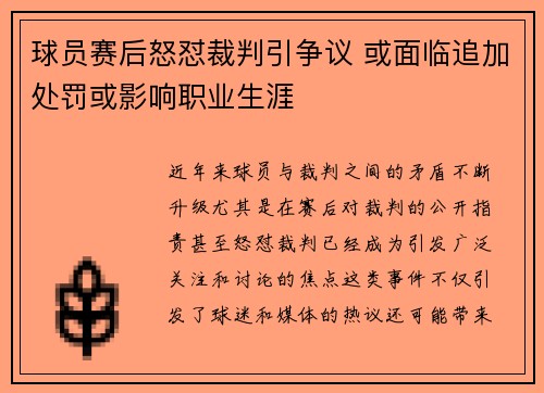 球员赛后怒怼裁判引争议 或面临追加处罚或影响职业生涯