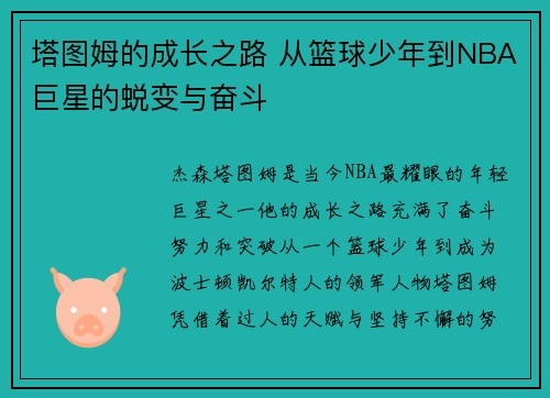 塔图姆的成长之路 从篮球少年到NBA巨星的蜕变与奋斗